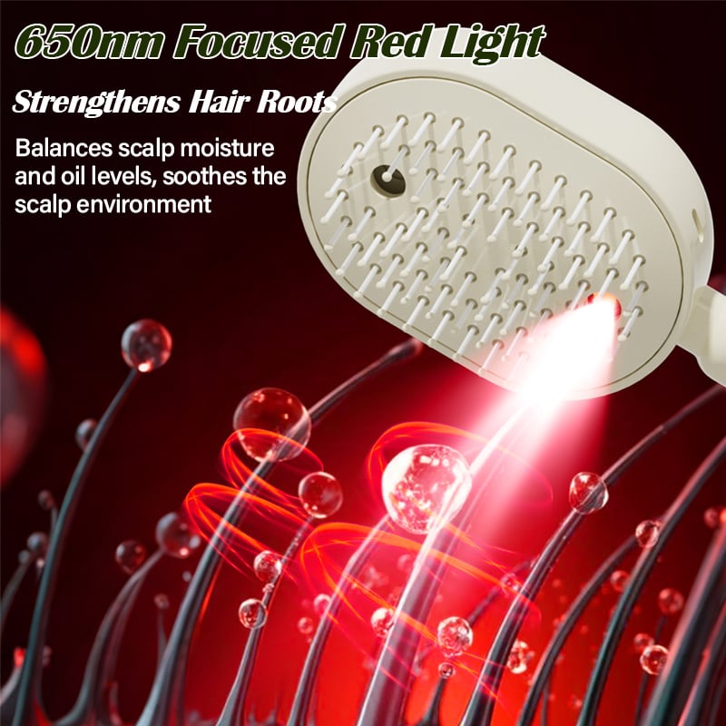 🔥2026 All-New Upgraded Electric Steam Massage Hair Care Comb