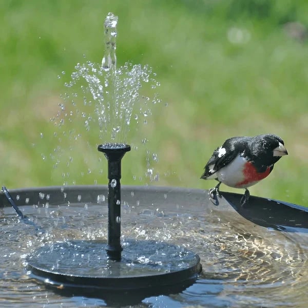 Hot Sale🔥⛲ Solar Fountain, Solar Powered Bird Bath Fountain Pump(Buy 2 Free Shipping)