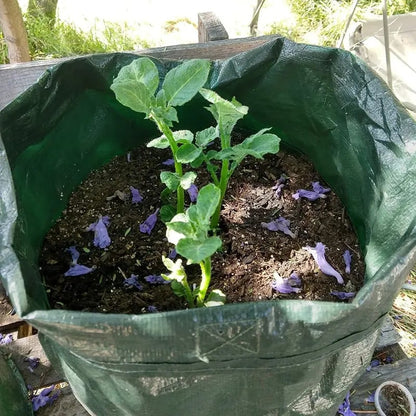 🌱Large 10-Gallon Grow Bags