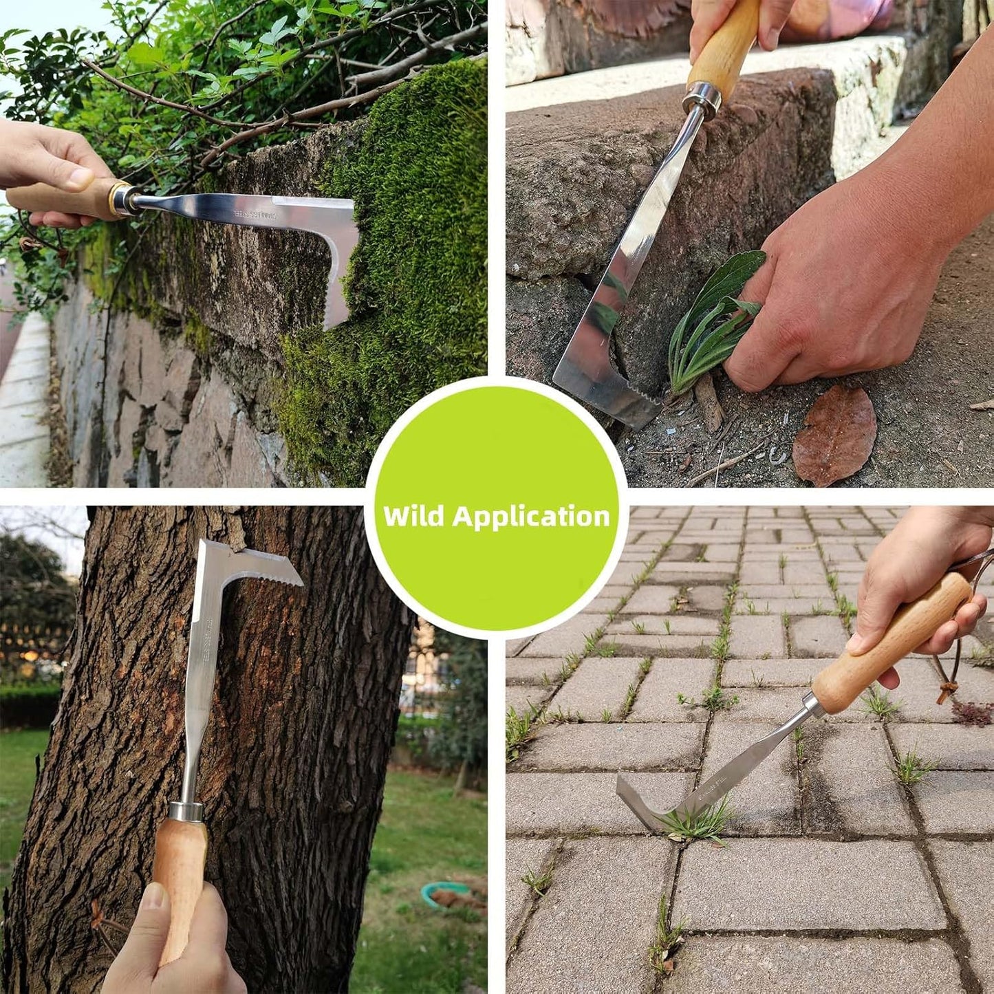 🌱 L-Shaped Stainless Steel Crevice Weeding Tool