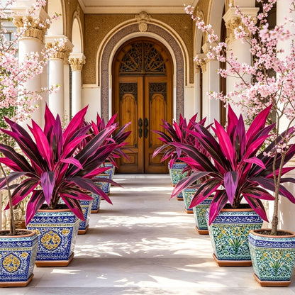 🌸 Realistic Artificial Boston Fern & Dragon's Blood Tree Plants