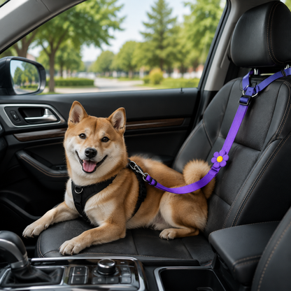 🔥BUY 1 GET 1 FREE 🎁2-in-1 Dog Car Seat Belt & Walking Leash