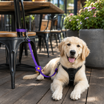 🔥BUY 1 GET 1 FREE 🎁2-in-1 Dog Car Seat Belt & Walking Leash