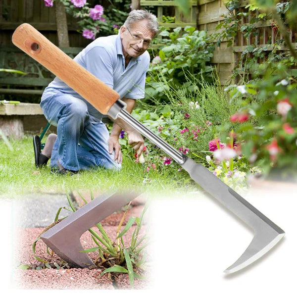 🌱 L-Shaped Stainless Steel Crevice Weeding Tool